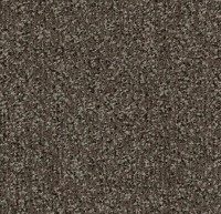 4764 Taupe Coral Classic 2.05x3.00